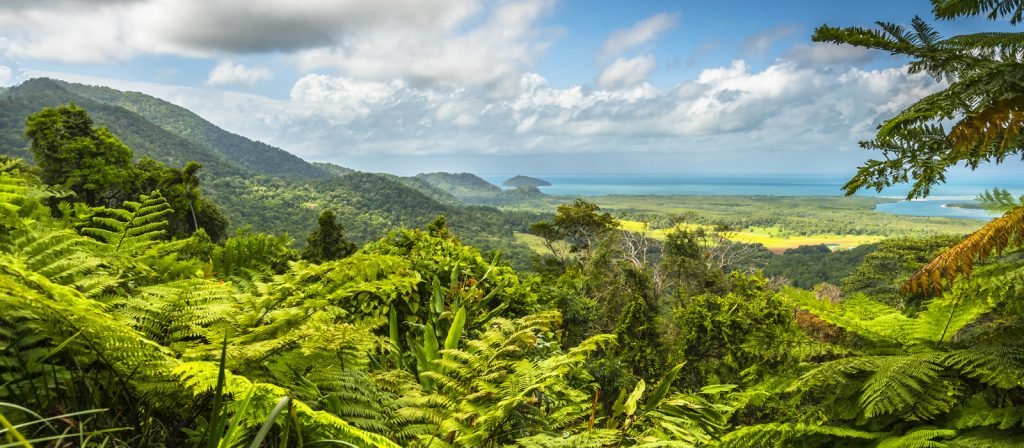 Hutan Terbesar Dari Berbagai Belahan Dunia