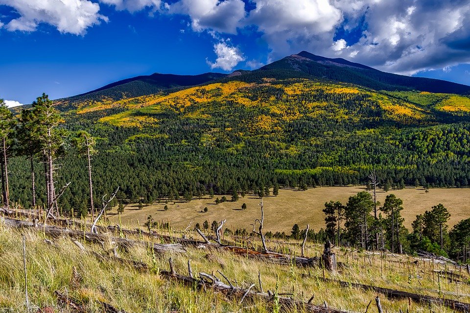 4 Hutan Nasional Terbesar Amerika