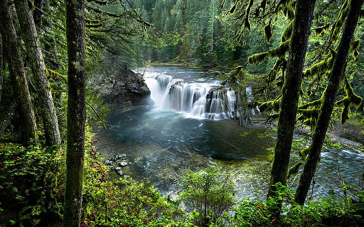 4 Hutan Nasional Terbesar Amerika
