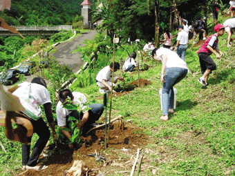 Bahaya dan Upaya Penyelamatan Hutan Indonesia