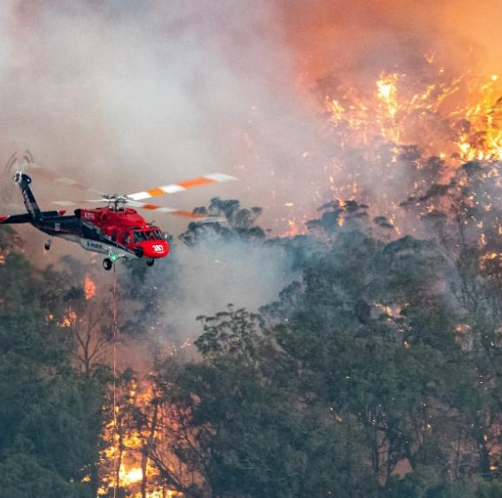 Bencana Hutan Australia Terbakar yang Terbesar di Sejarh