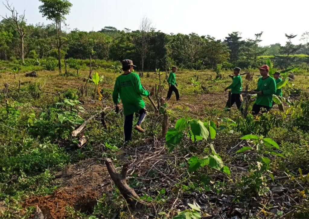 Program Langkah Menuju Pemulihan Hutan Global