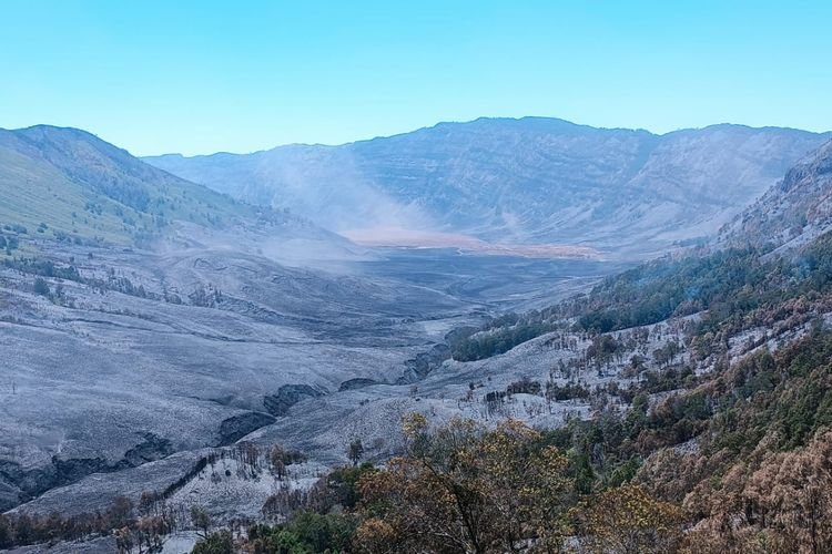 Sebuah Harapan Pemulihan Hutan Pasca Kebakaran